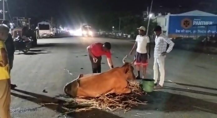 02e9aabc-0926-4a55-afb0-0581c607b79e