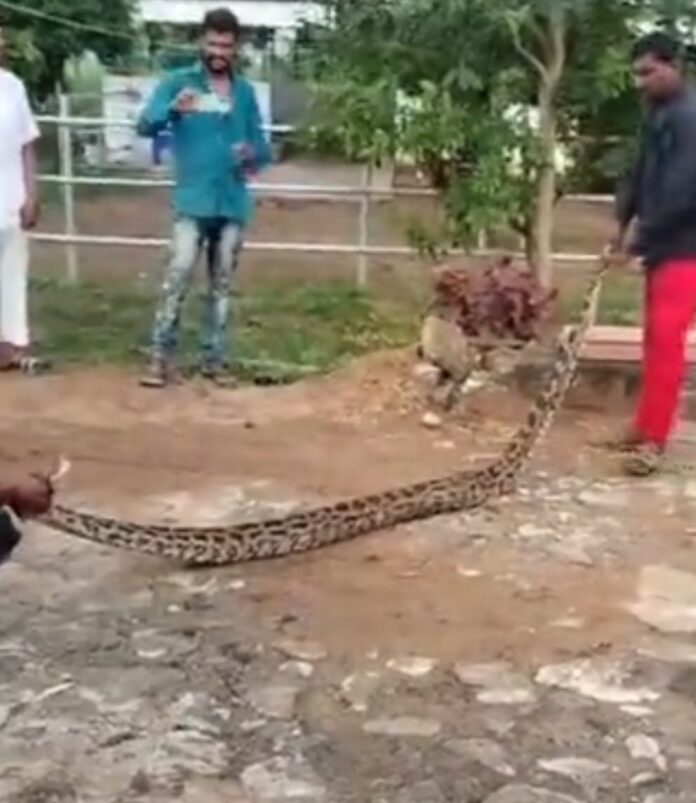 1a36e04d-ec1d-4c75-a3d0-935c964cbcb1