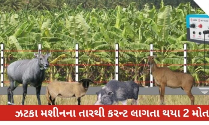 1uQuNEtdTgHpVAZP0oNetYjFNldsXcrFZ3K0e0ES