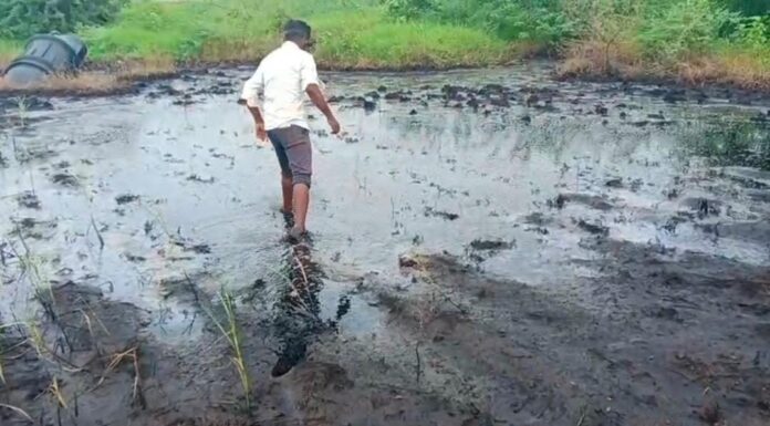 598f4449-6365-4f58-aa9d-30686c9c5311