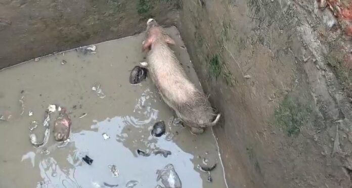 6566e8c6-dfab-4d99-a498-81cf39f8c0de