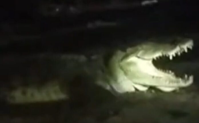 6872f13f-4dc8-4444-963a-2a6b2060720a