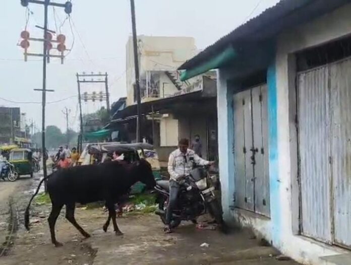 7cc20dc0-8b30-4f98-9c6a-eab407fdd354