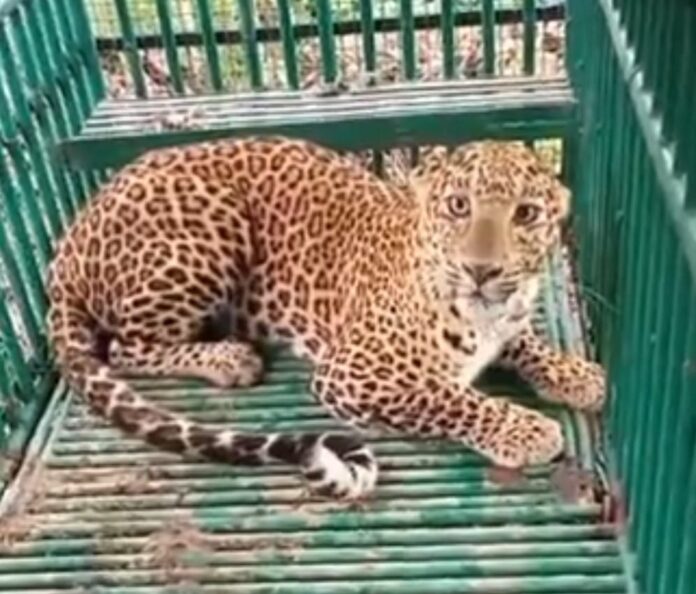 8d6293e5-399c-4b39-adf6-88f4ae17efe4