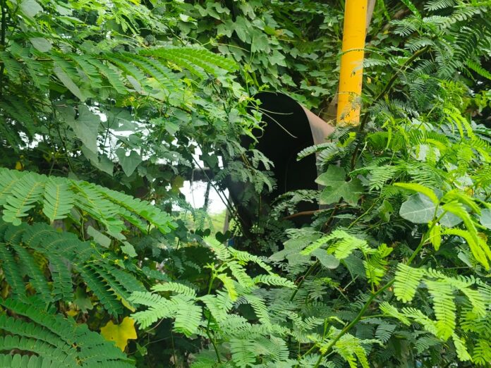 91af2a73-5110-46eb-9a43-334c4b85c6b0