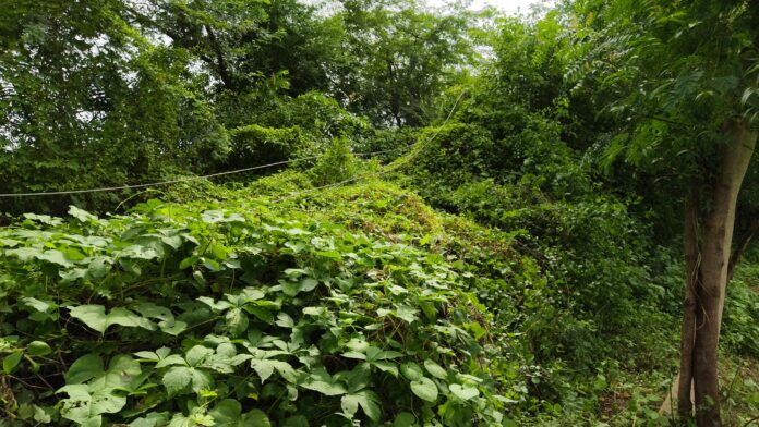 a0c50933-3e02-4299-99a1-fbf0adae854f