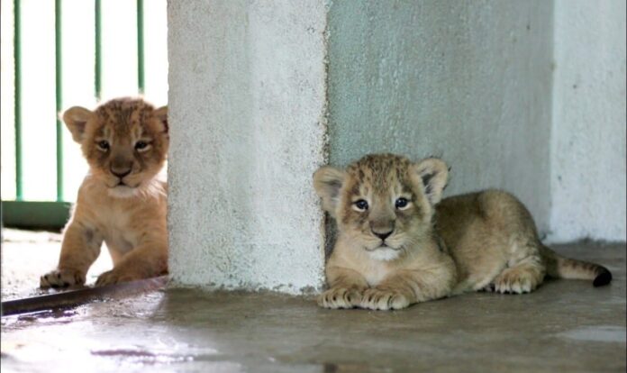 bbc048ff-b0fa-4570-a68f-845647dd38f0