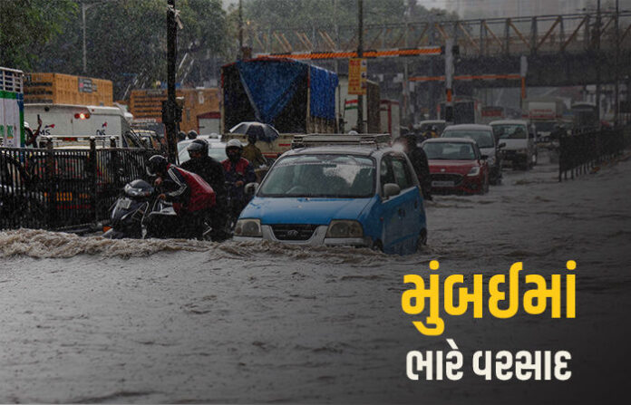 content_image_74c44a12-bbb1-4fc9-8c43-2c8b7a87856b