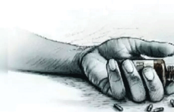 content_image_caba72c7-7025-4f79-ab86-407f81a9ab7e