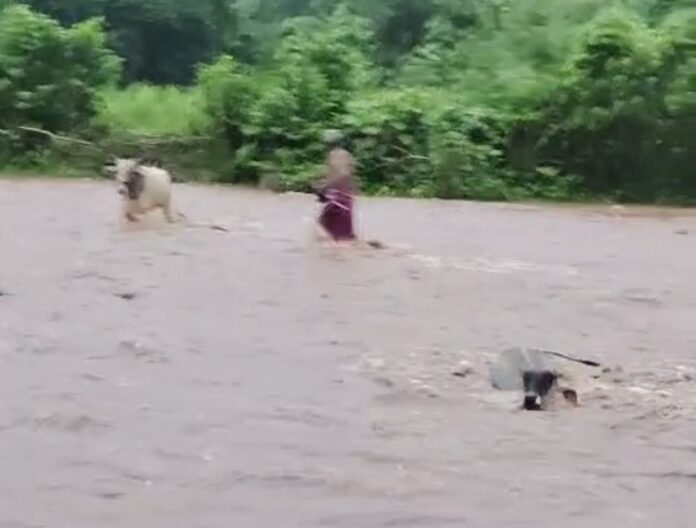 fe97cdd5-e985-4c13-b1e6-63cdd873f181