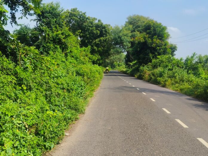 0dca986d-a5fd-4054-b56a-f325b68ad1d0