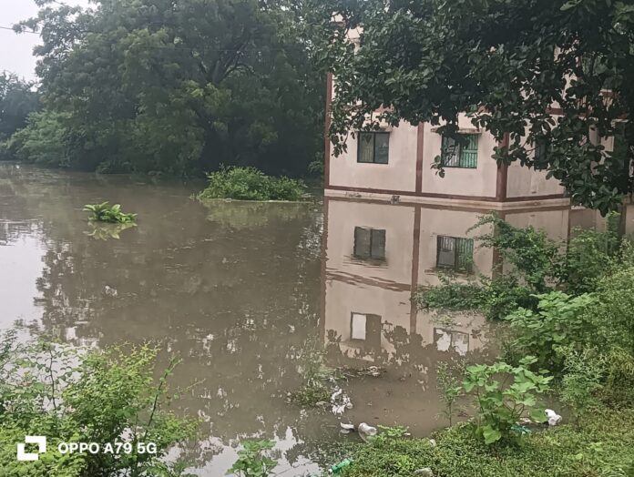 1c0b51cd-2d9a-4879-8362-d272cde9f918