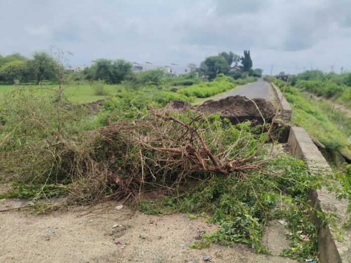 2c25f7a3-4506-4e24-aca3-4437136e51be