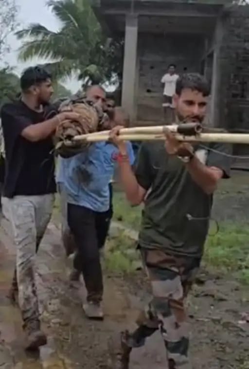 2c56e819-02fe-4151-91f3-ee285c92d61c