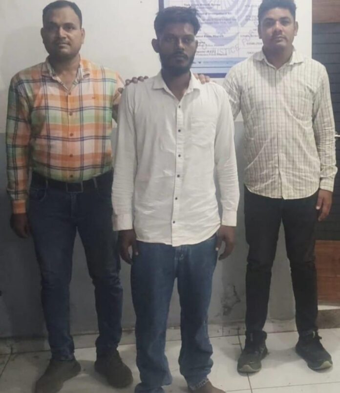 53e5759a-043e-4179-ac11-97afb1f7a254