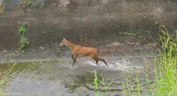 869bf974-97e0-4b62-9350-0f0d1d86f1ce