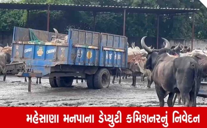 AyOlSnjEIvyrFZjpoxv1N1GttjhlOzmOztVvGGQq