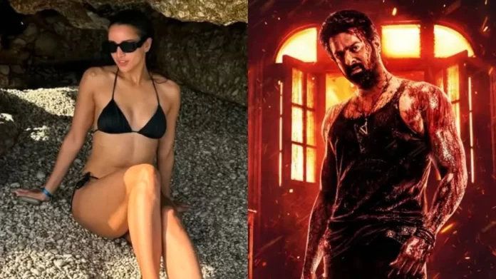 PwNh2drVgOvamJB4NY6R