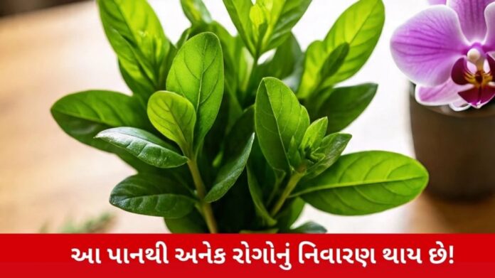 QJNiyj3nGxueRwdiZVKVlFF8QUWcQrztkl5prYqG