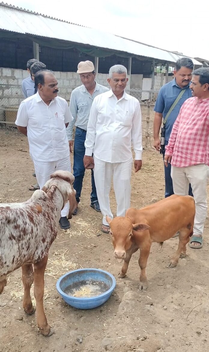 a4fdcb00-2c50-43bf-aa36-ab1e9eb1f242