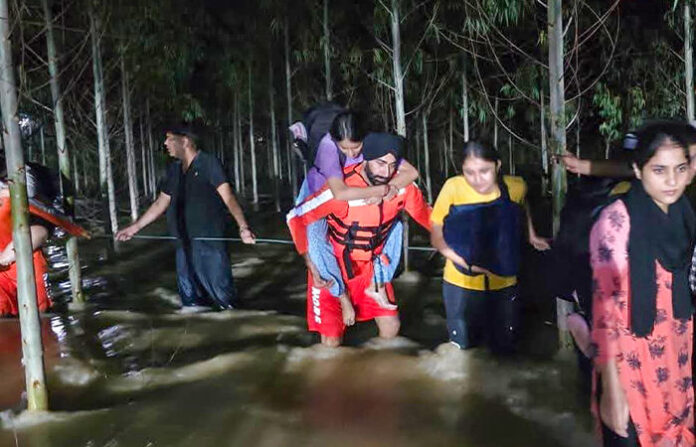 content_image_3ededb50-cbcc-4c2f-8079-d1a0e4d990f2