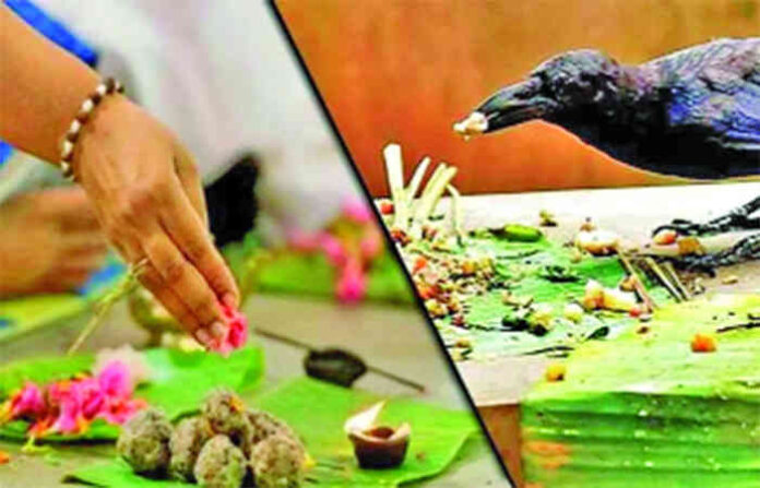 content_image_da31bb43-819a-414d-97c1-0e8addd43c65