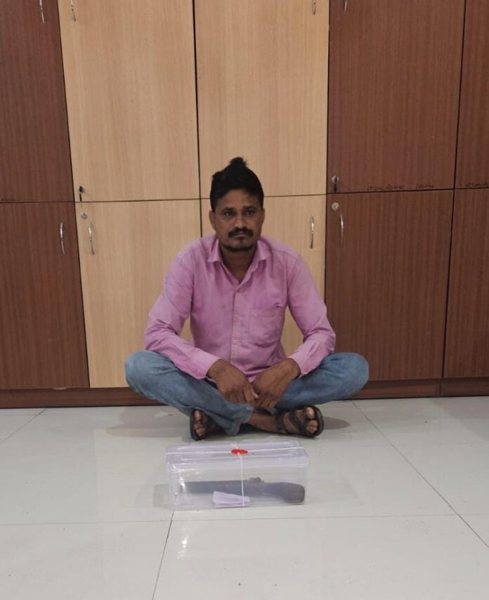 d097cbcd-0885-4535-b5e4-d66b3bc6f89f