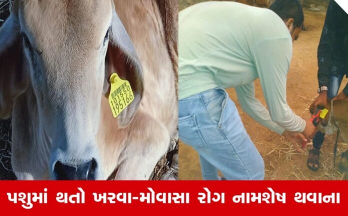 xvBopkrPxNy3TGrHYuN1MZM8hFjmz55MiC7RA1jT