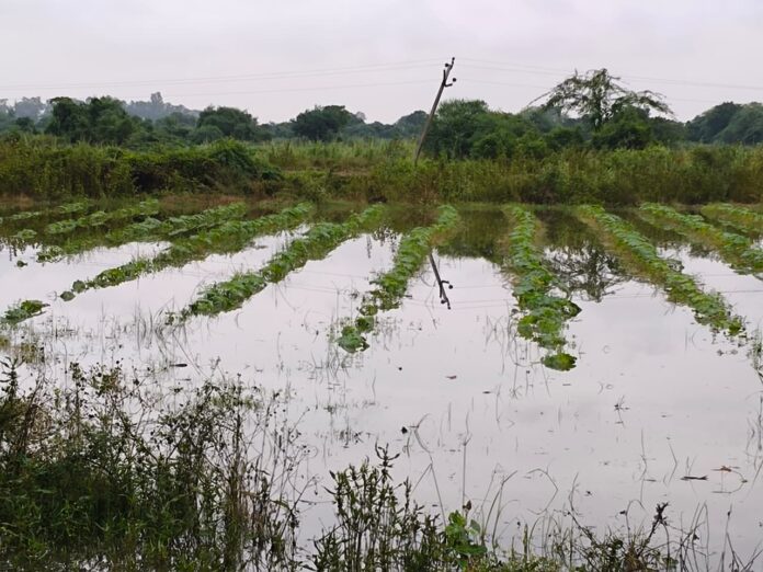 3d0cbb56-53ba-4ece-9777-caadac6ca4bf