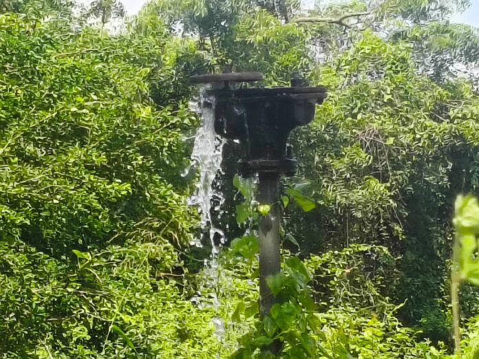 3de3b69a-57c0-4058-abd5-998b6b496610