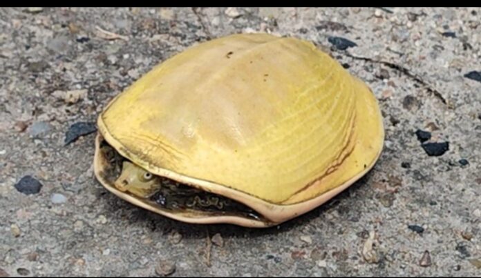 427f327e-64d7-43a7-8599-74822d7fa91e