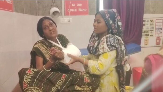 786b8a77-a6d3-405b-aa71-33e9e0540f6b