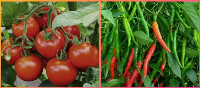 cfdddb0c-d2fc-4026-a3e3-0d2a8feebf24