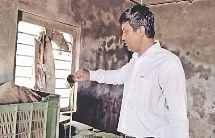 content_image_011b538c-c380-4833-b34a-d99a54eae430