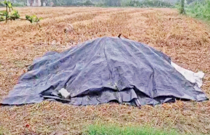 content_image_04523a6a-3dae-4619-a0a2-336cab17b8da