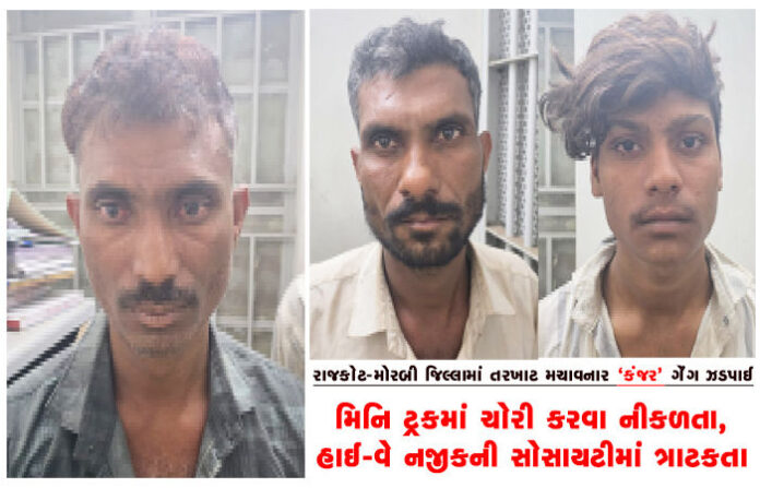 content_image_0bc64e4c-9b52-49b6-99b3-7cd6d8592b87