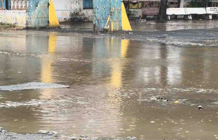 content_image_15680638-6c33-4548-94e5-89a2035a5c48