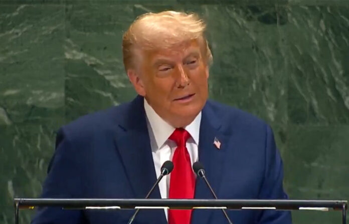 content_image_1a73ad52-ec84-45f4-8a32-046ccaa745a6