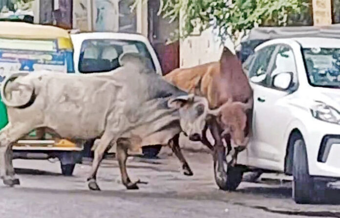 content_image_1ae8897d-42e4-4d91-8b9a-fa42777f1341