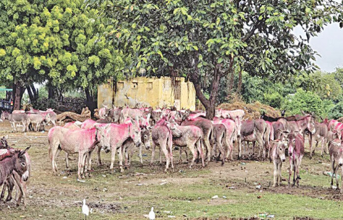 content_image_284b7768-f0e4-49d0-9060-9c016cd189df