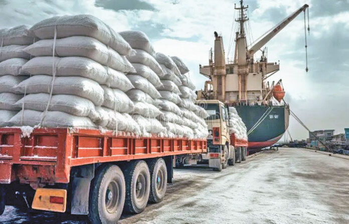 content_image_3930c800-fa6f-49cf-8920-4044d8996b3f