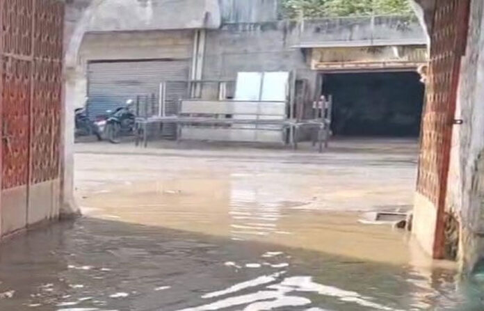 content_image_40c9e9ef-404c-4e38-a915-a8bd33302c3d