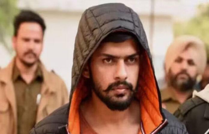 content_image_44fc38dd-ed59-4f53-9cbe-b0a4fc5ac0e8