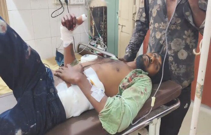 content_image_676ccf36-69fe-43e0-9dfe-f8b312628425 (1)