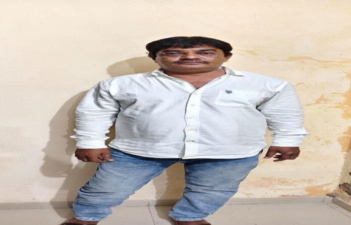 content_image_69da0ef1-200a-4cc0-a58d-d9b61e1da033