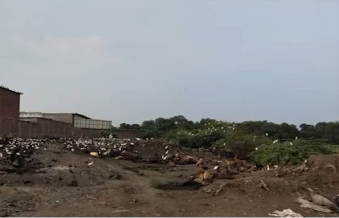 content_image_6c2c661a-8b6d-4a8e-9cbe-4779784fb12b