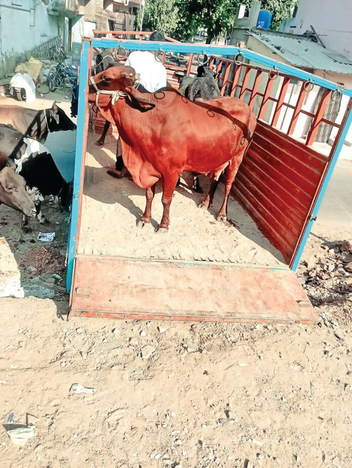 content_image_6d0760c8-1ccb-4709-aca5-b32834574fb7