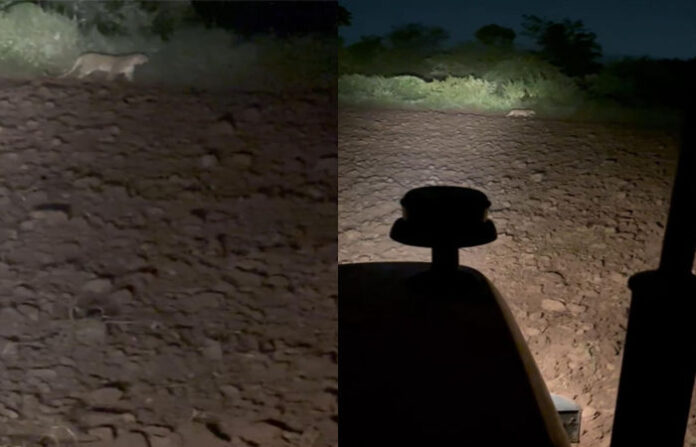 content_image_6f7ef4b2-319d-4d32-91d6-6c7988e412ad