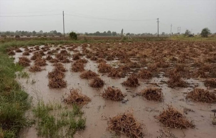 content_image_7455533b-b4cb-4996-82f9-26566e38b204