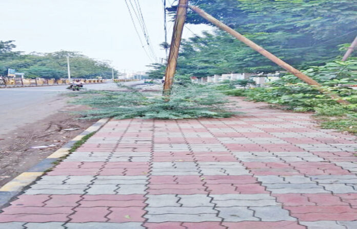 content_image_94c3067c-81c5-4b8c-b895-a9c9525bc82d